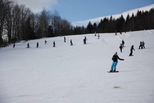 IMG 0550