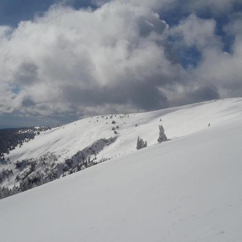 IMG-20211104-WA0029