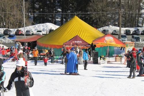 Karlovský karneval 2012